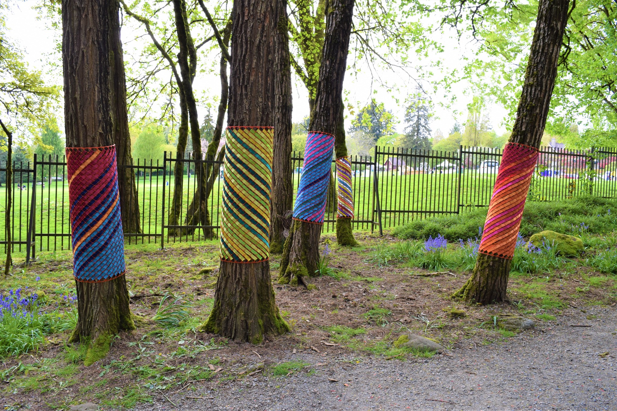 Five trees with colorful wraps around the trunks.